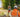 A surveyor doing work with the help of a total station and GNSS equipment.
