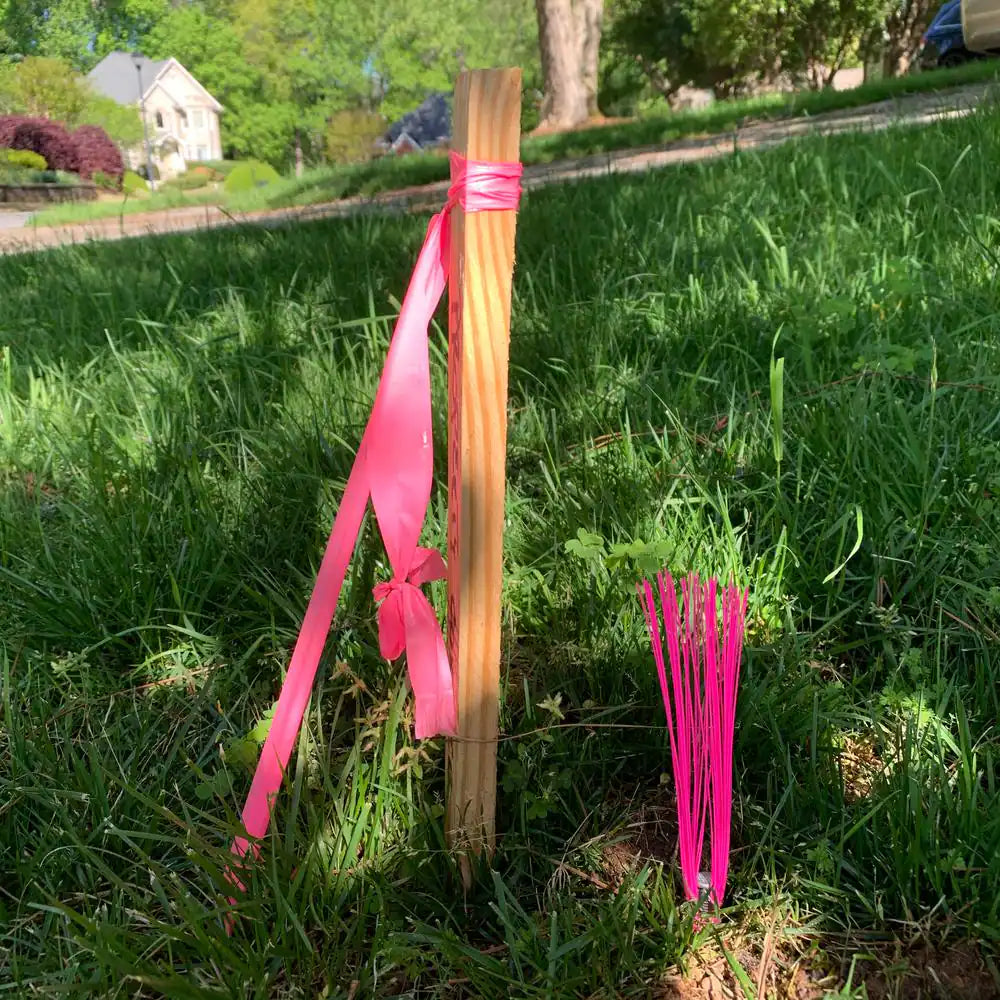 6 In. Pink Ground Markers - Whiskers and Stakes (25-Pack)